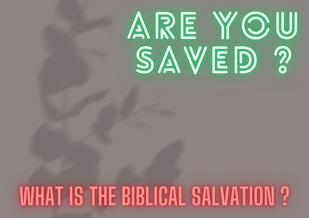 Insight – Life of Zacchaeus