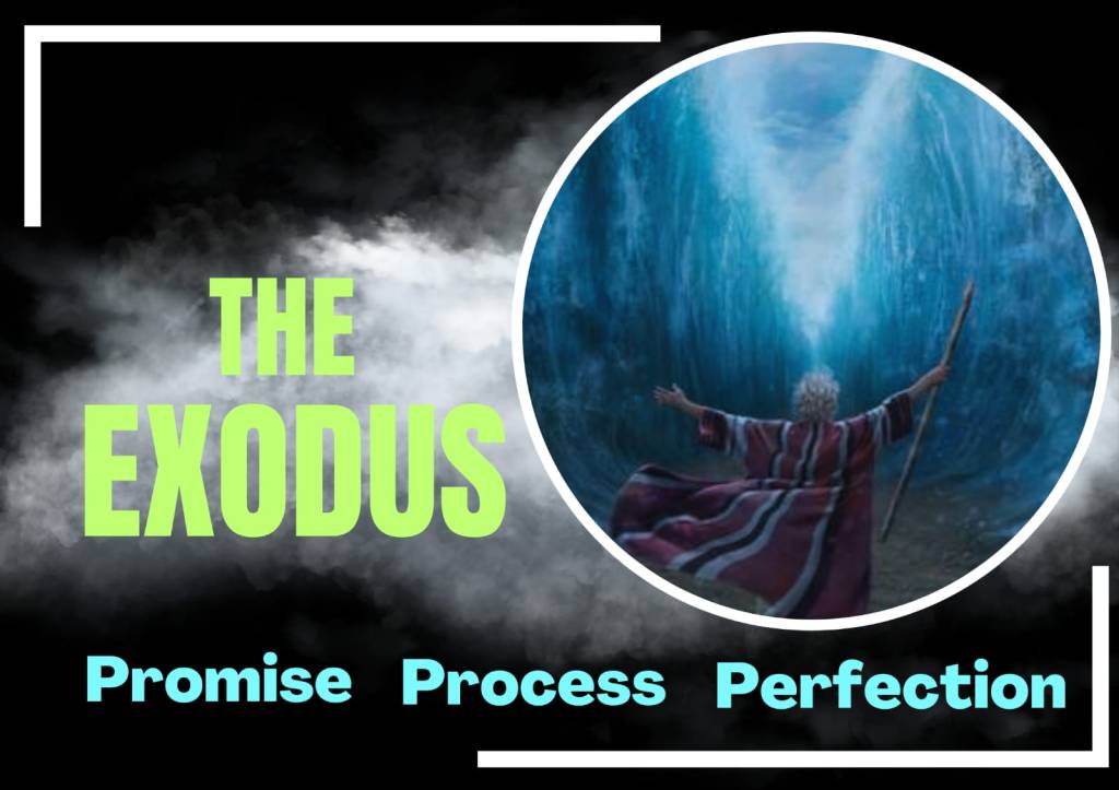 Promise – Process –&nbsp;Perfection