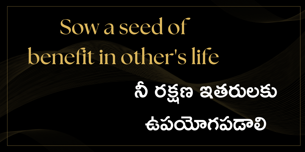 Sow seed of benefit in other’s&nbsp;life.